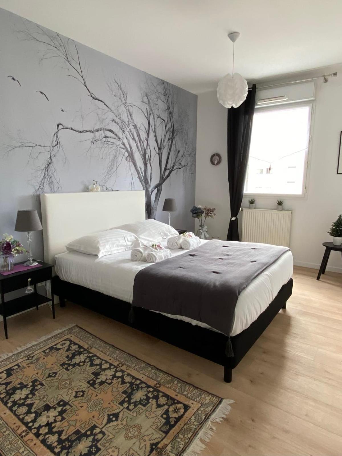 Apartamento L'Aragon Wifi Balcon Vue La Maine Angers Exterior foto